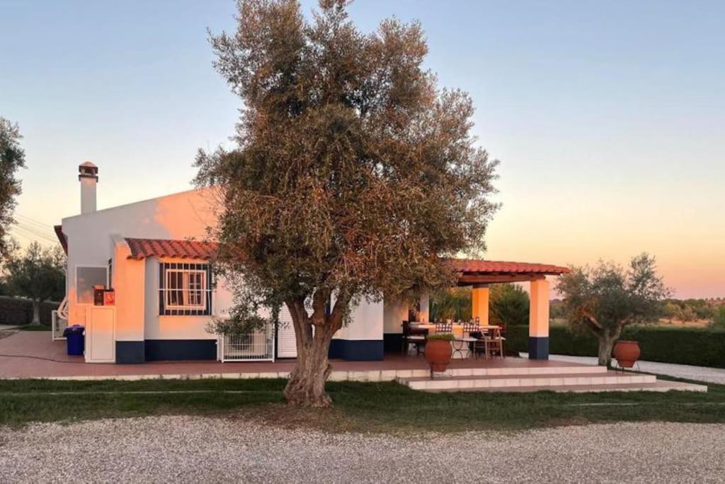 Casa Das Oliveiras Aviz Eksteriør bilde