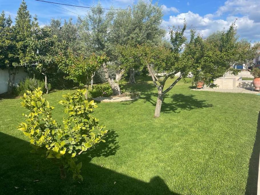 Casa Das Oliveiras Aviz Eksteriør bilde