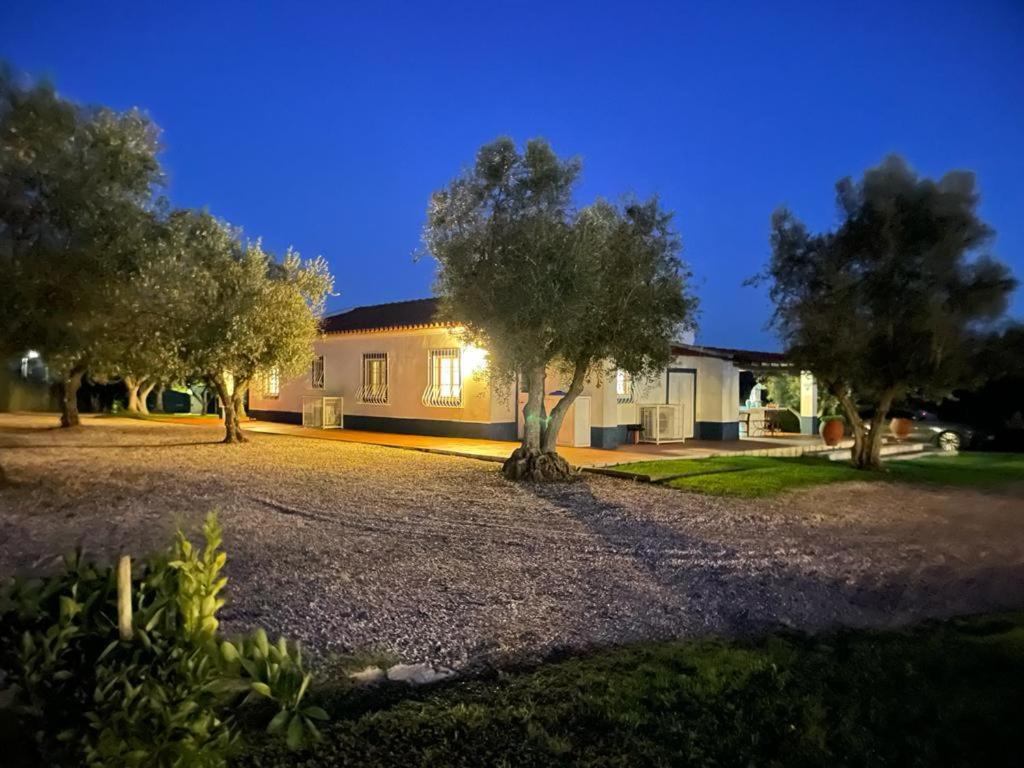 Casa Das Oliveiras Aviz Eksteriør bilde