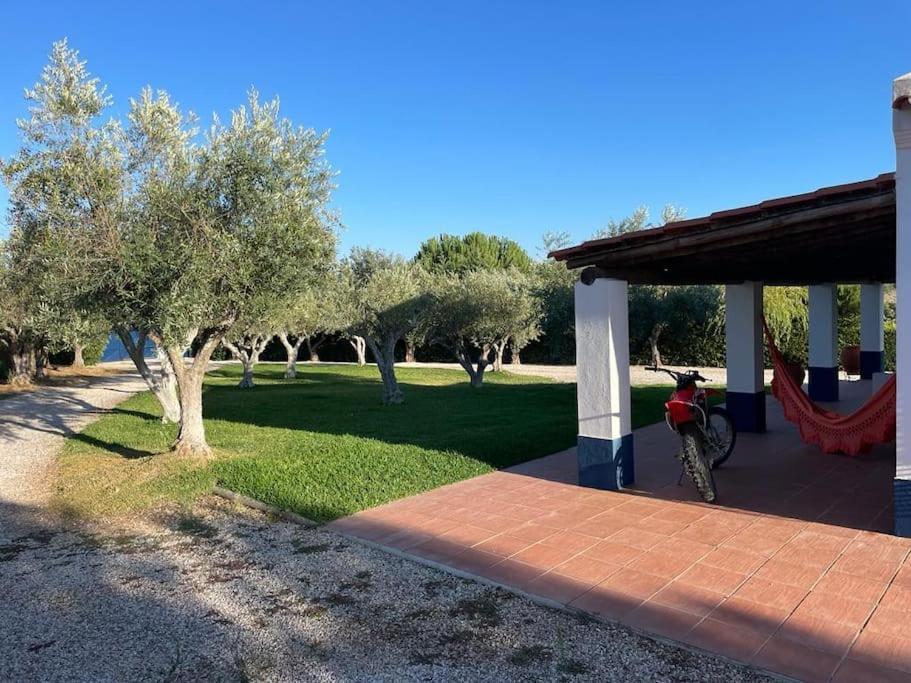 Casa Das Oliveiras Aviz Eksteriør bilde