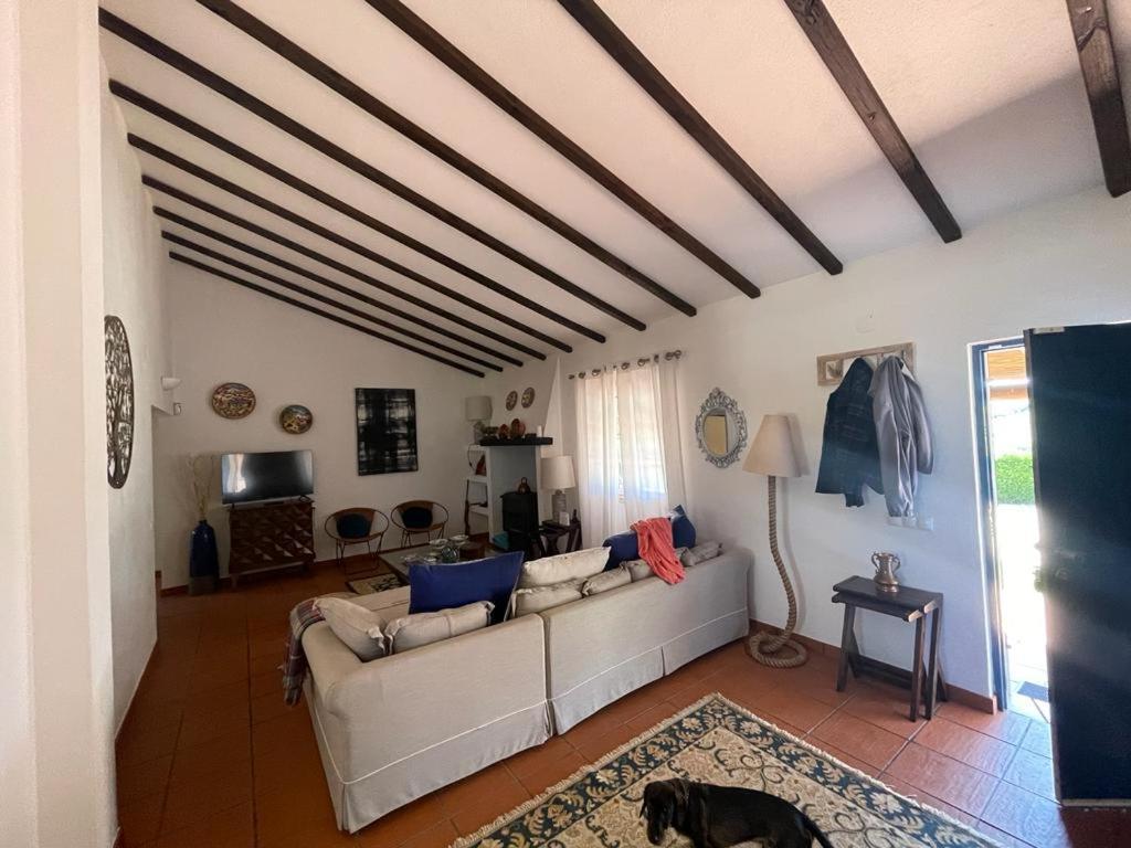 Casa Das Oliveiras Aviz Eksteriør bilde